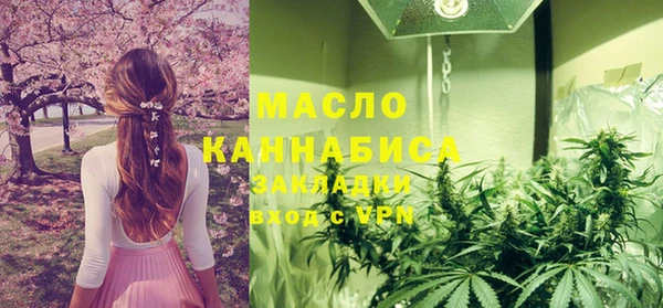 индика Сафоново