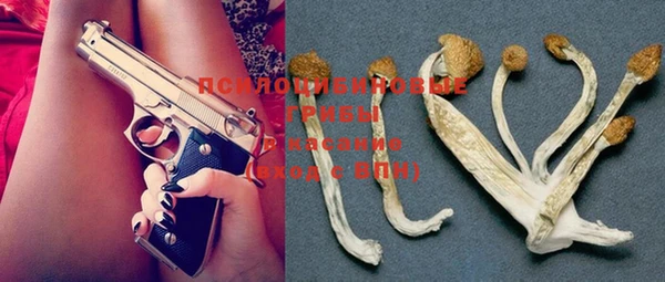 тгк Богданович