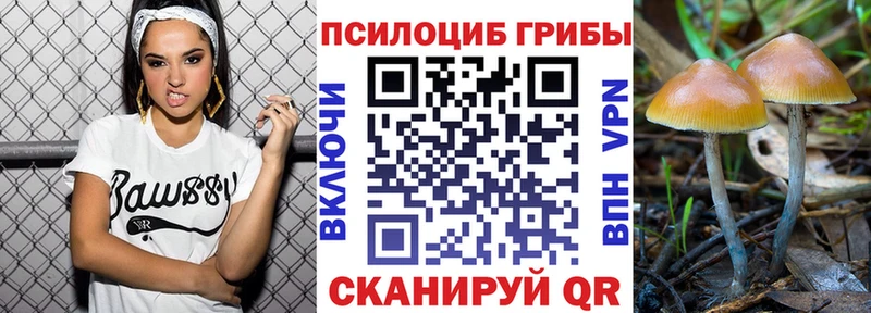 мориарти наркотические препараты  Ковылкино  Галлюциногенные грибы мицелий  ссылка на мегу как войти 
